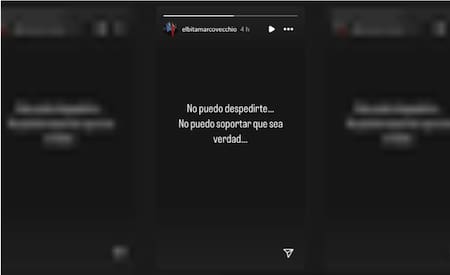 El mensaje de Elba Marcovecchio. Foto: Instagram