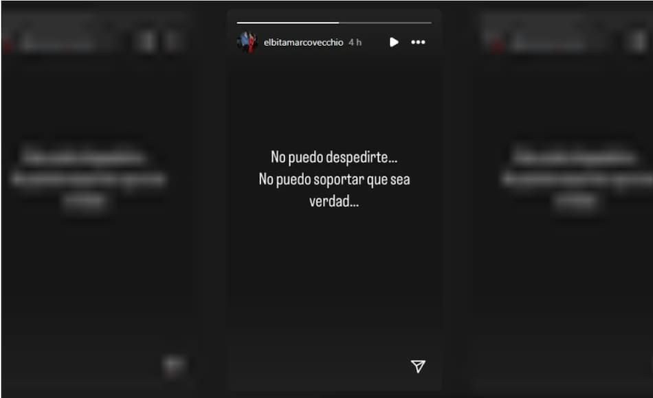 El mensaje de Elba Marcovecchio. Foto: Instagram