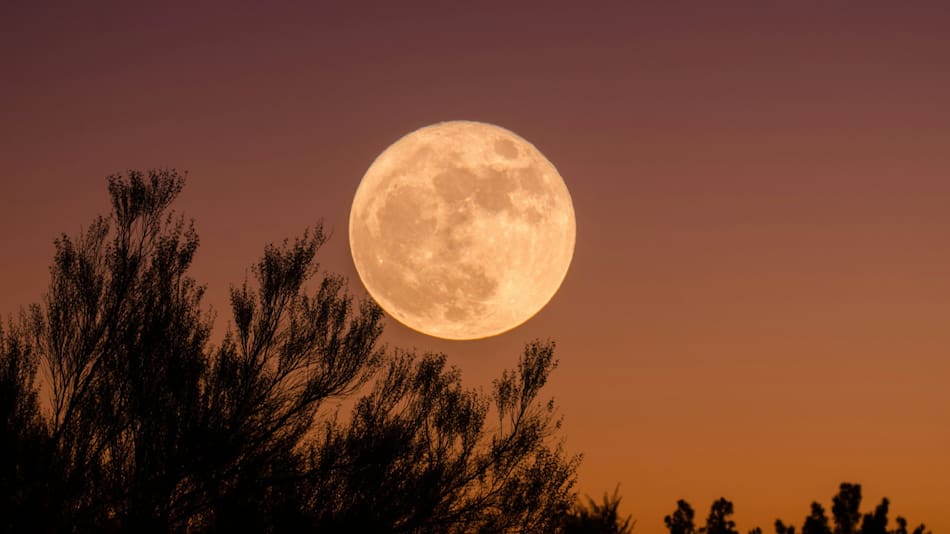 el planeta rojo se acercó a la gran esfera plateada de la Luna, creando un contraste visual distintivo. Foto: Unsplash.