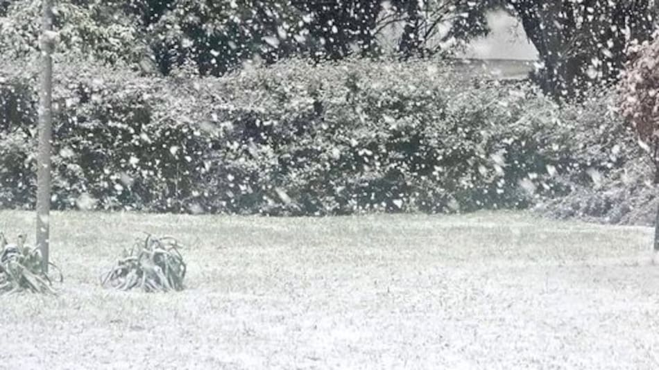 Nieve en Coronel Falcon.