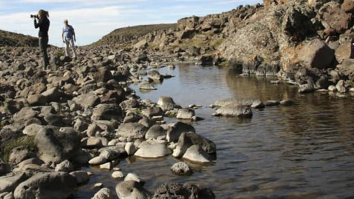 El pueblito que esconde un bosque petrificado de 65 millones de años y es ideal para visitar con el Tren Patagónico