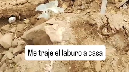 Es falso que el temporal en Bahía Blanca dejó al descubierto el cráneo de un dinosaurio. Fuente: captura.