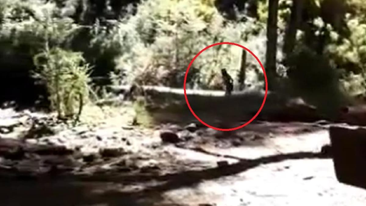 Supuesto duende en Bariloche. Foto: captura.