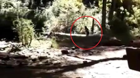 Supuesto duende en Bariloche. Foto: captura.