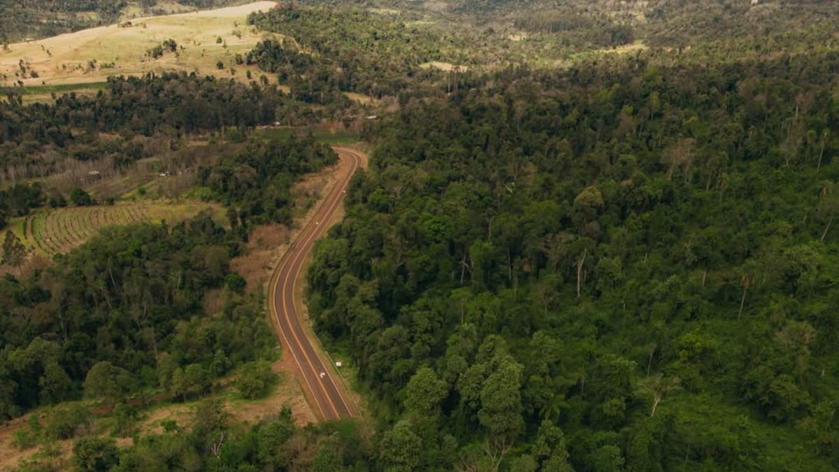 Ecoducto de la Ruta Nacional 101.