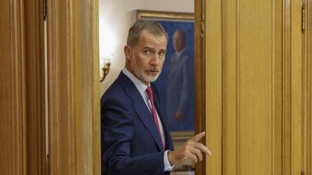 Felipe VI, Rey de España. Foto: EFE.