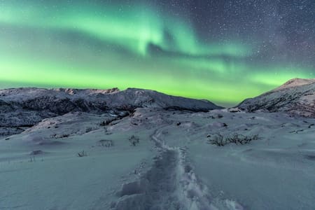 Aurora Boreal en Alaska. Foto: Freepik.