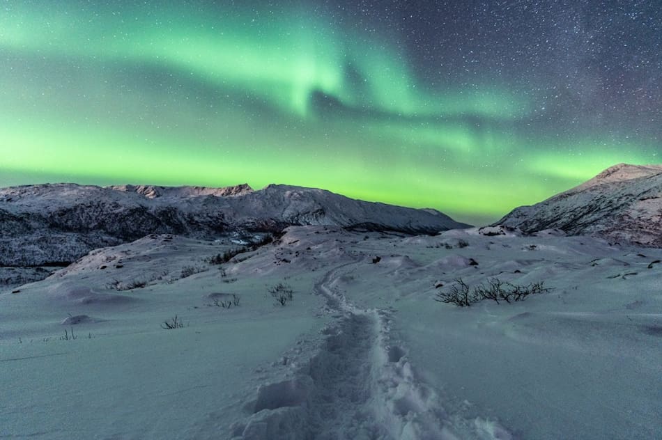 Aurora Boreal en Alaska. Foto: Freepik.