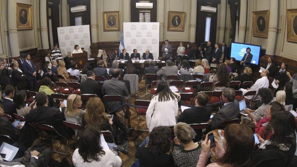 Debate por el aborto en el Senado - NA