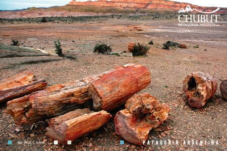 Bosque Petrificado Sarmiento. Foto: chubutpatagonia.gob.ar