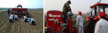 Maquinaria argentina en China: granja en Shandong (condado de Linshu, ciudad de Linyi). Foto: Reporte Asia.