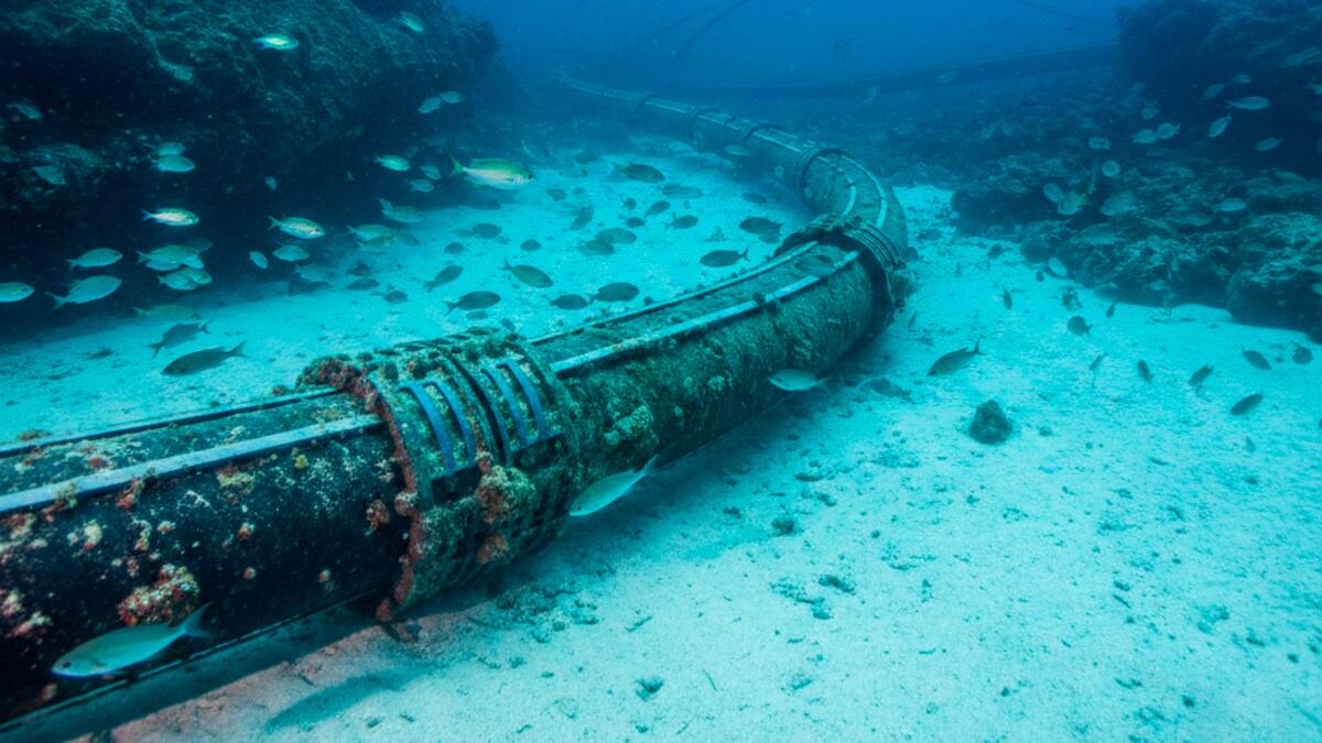 Un cable submarino unirá a dos potencias mundiales.