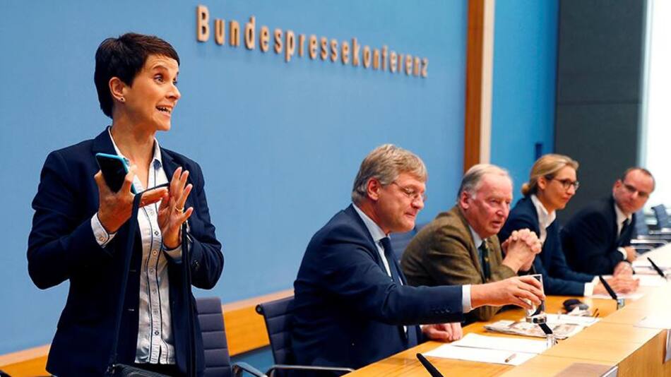 Renuncia en partido AFD - Alemania