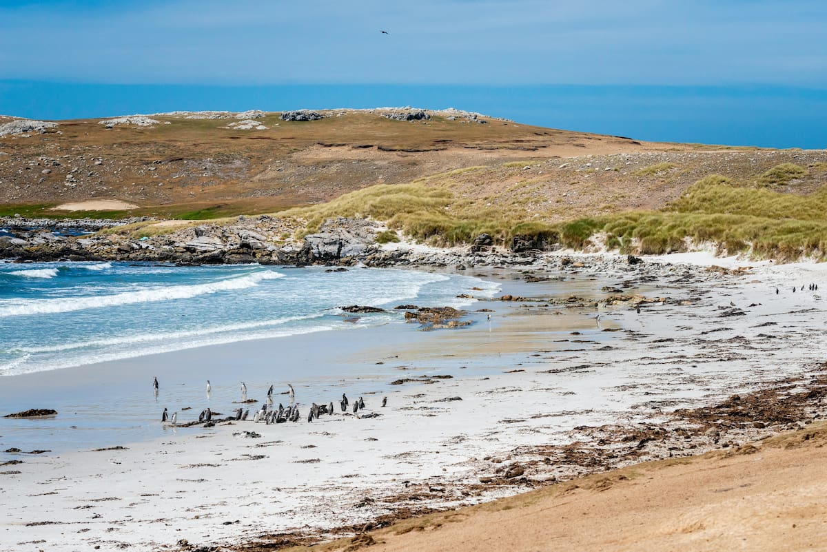 Islas Malvinas.