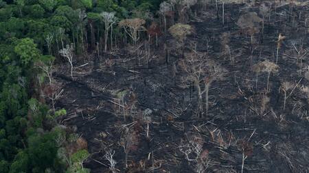 Amazonia ecuatoriana. Foto: Reuters