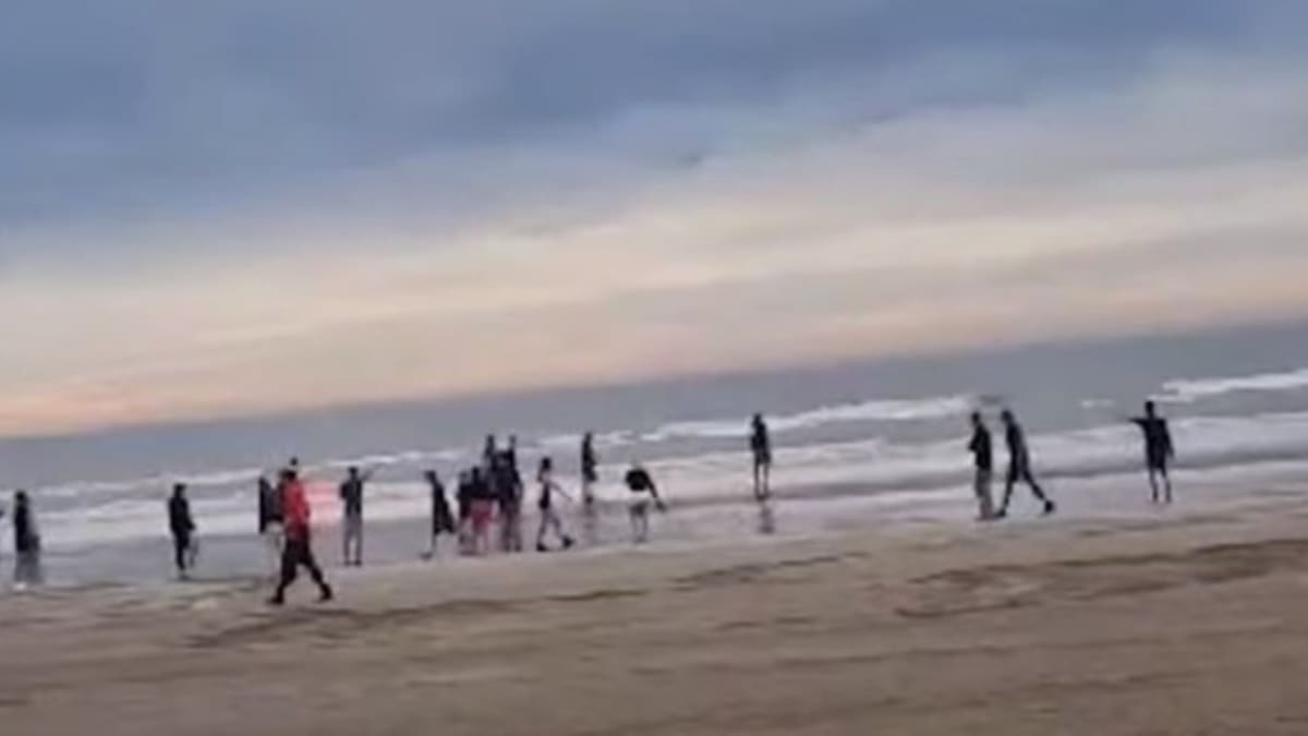 Pelea en Santa Teresita. Foto: captura pantalla
