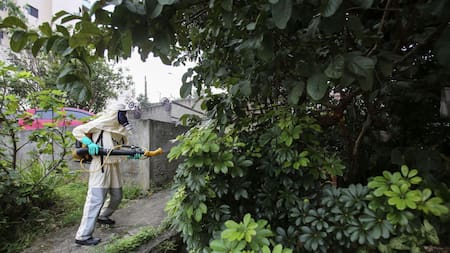 ¿No hay que fumigar?: la advertencia del Malbrán que puede cambiar lo que pensábamos del dengue