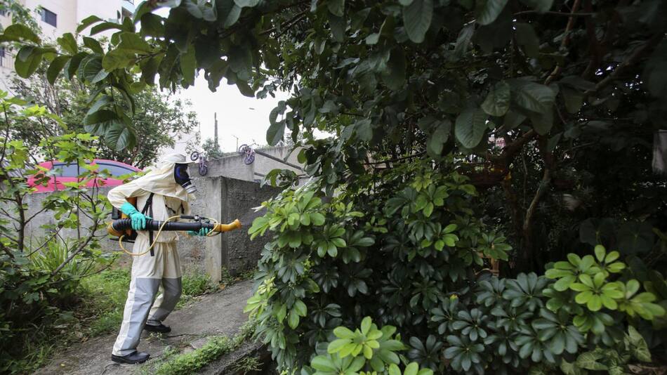 Fumigación por dengue. Foto: EFE