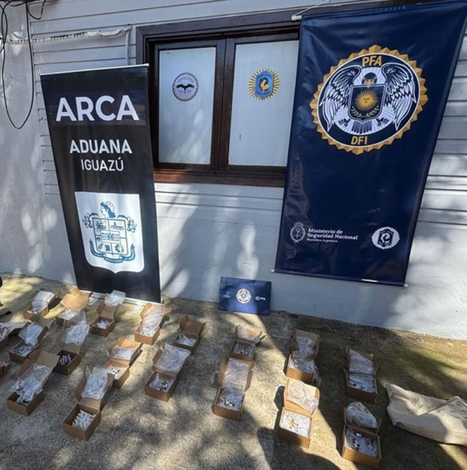 Decomiso de 200 ampollas de fentanilo ilegal en Misiones.