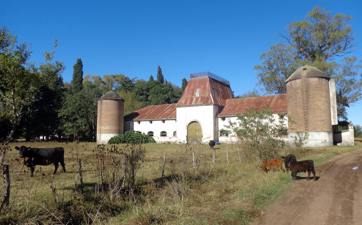 Vista de Vicente Casares, pueblo bonaerense de 800 habitantes con bosques, entorno rural, historia y bodegones de campo a 50 kilómetros de CABA.