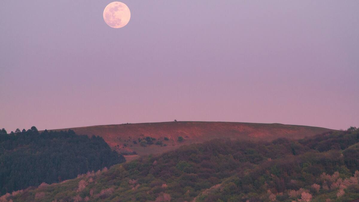 Luna Rosa. Foto: Unsplash.