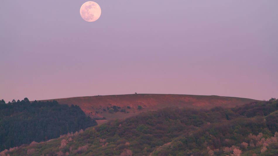 Luna Rosa. Foto: Unsplash.