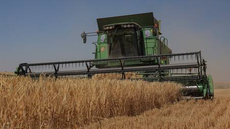 Rusia pone fin al acuerdo de granos. Foto: Reuters.