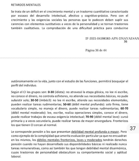 Los polémicos términos que se usaron en una resolución del Gobierno sobre discapacidad.