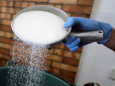 Producción de azúcar. Foto: Reuters