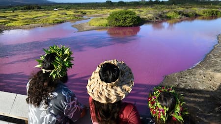 Agua rosa en Hawái. Foto Twitter @primacial.