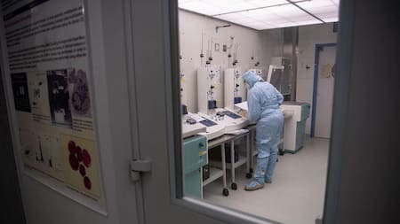 Células madre de Alemania a Argentina