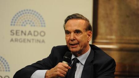 Miguel Ángel Pichetto - Senador Nacional