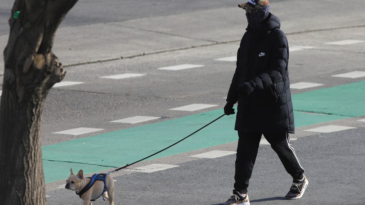 Un hombre abrigado pasea a su perro bulldog francés.