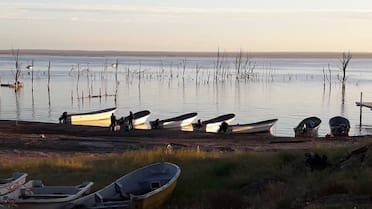 Le dicen el rey del pejerrey: el pueblo de Buenos Aires que renació, lo aman todos los pescadores y es el plan ideal para el finde XL