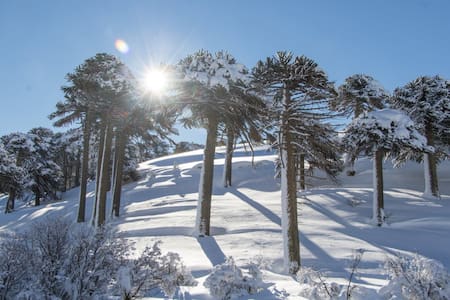 Aluminé, Neuquén. Foto X @neuquentur.