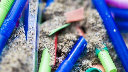 Dato alarmante: una persona consume más de 50.000 partículas de plástico al año