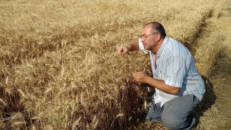 El mejor whisky del mundo