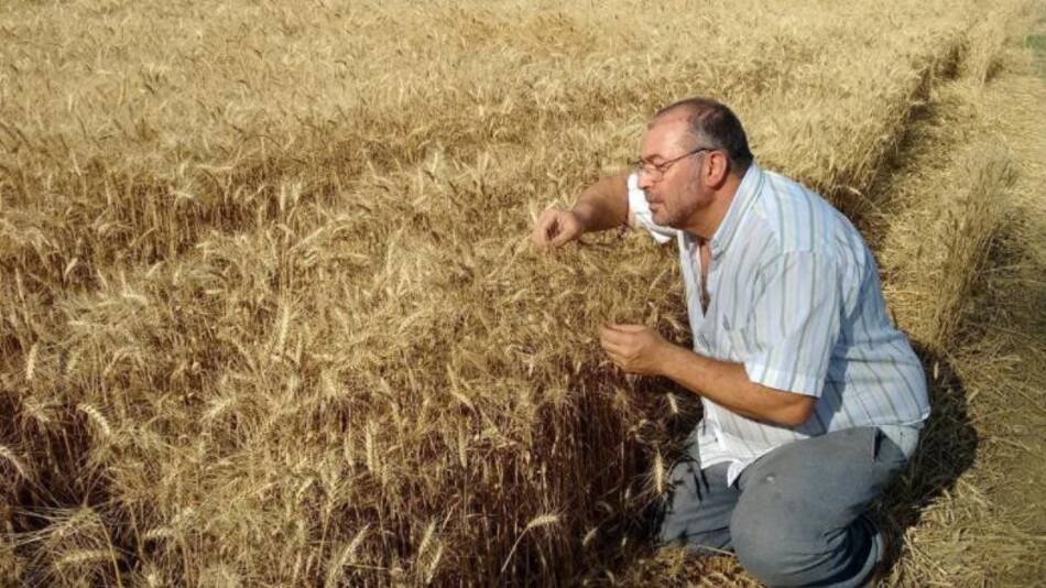 El mejor whisky del mundo