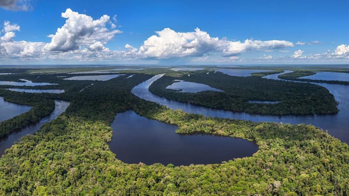 Sudamérica guarda una maravilla natural del mundo que ocupa 9 territorios: es un lugar que deslumbra por su inmensidad