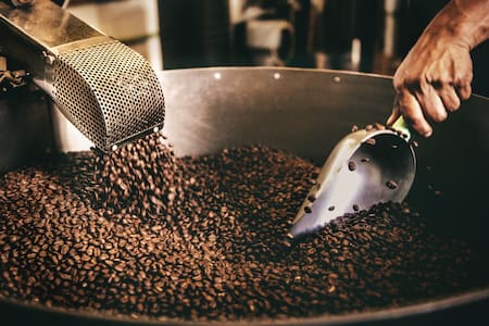 Los restos de café molido pueden ayudar a preservar el medio ambiente. Foto: Unsplash.