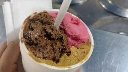 Funciona desde 1953: la antigua heladería artesanal que se volvió un emblema del barrio