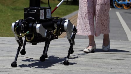 Un robot de seis patas, un " perro guía " en Shanghái. Foto: Reuters.