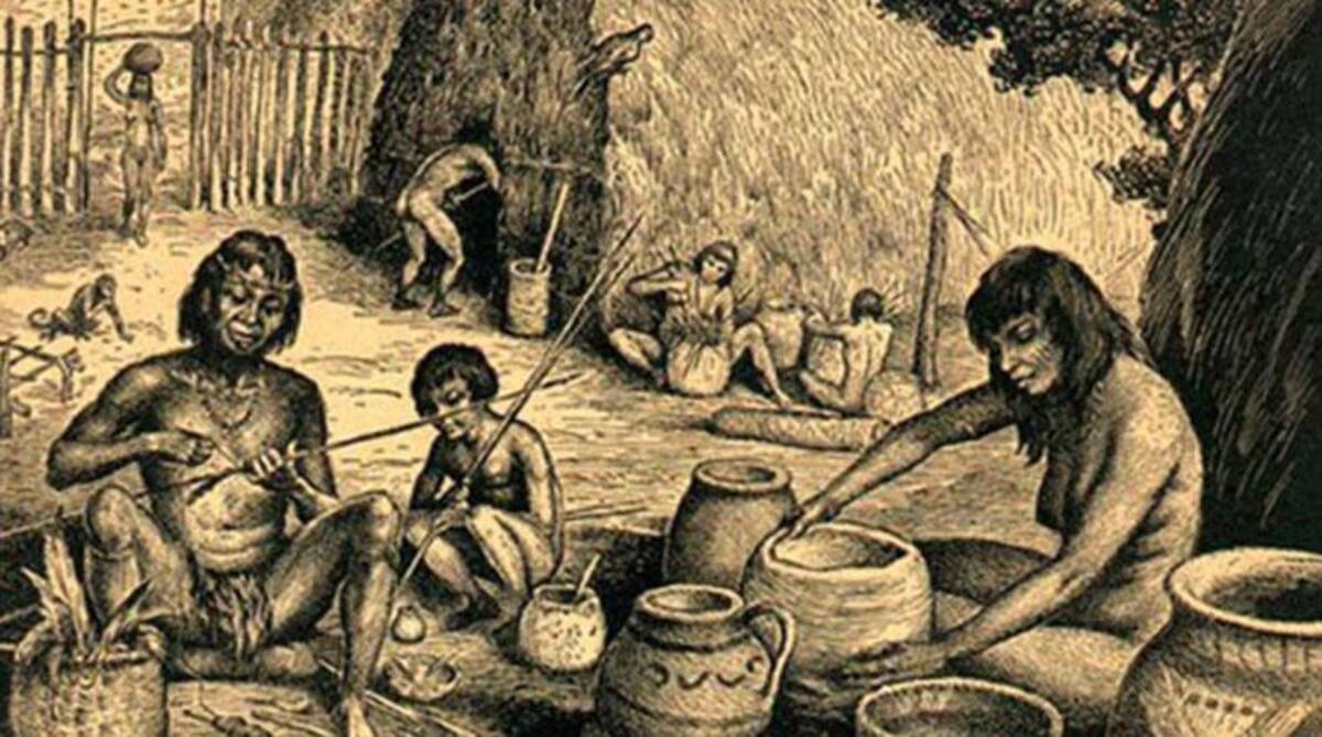 Primeros cultivadores de yerba mate
