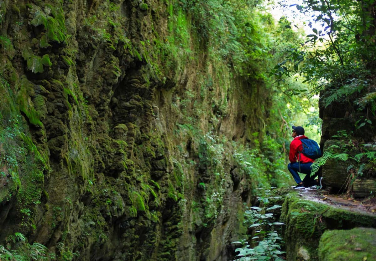 Yungas de Jujuy. Foto: Ruta Nacional.