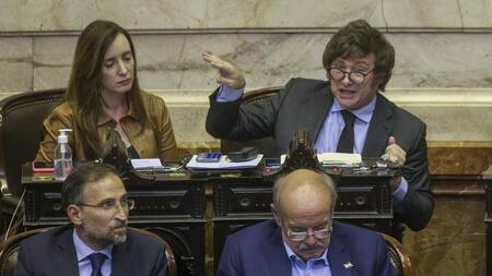 Javier Milei en Diputados. Foto: NA.