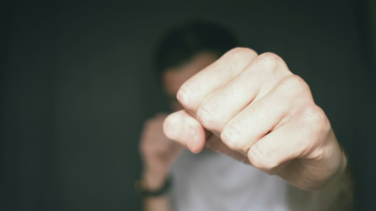 Agresividad. Foto: Unsplash.