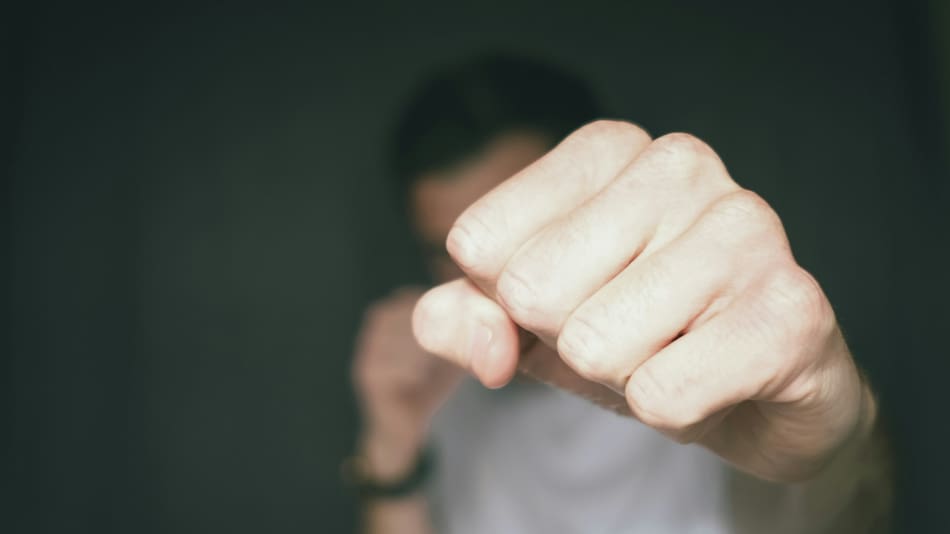 Agresividad. Foto: Unsplash.