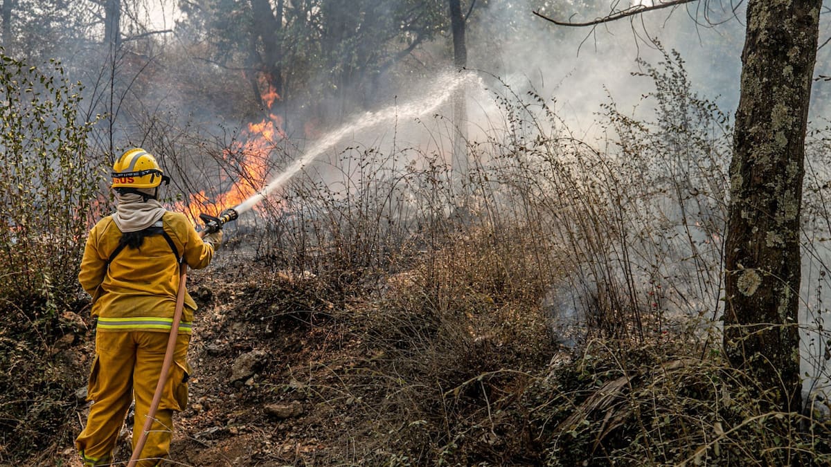 Contaminación en Argentina: cuáles fueron las 10 ciudades con peor calidad de aire a principios de octubre