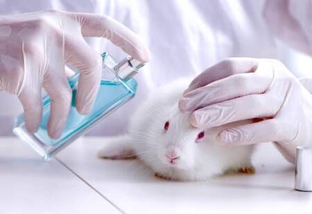 Adiós a los testeos con animales. Foto X