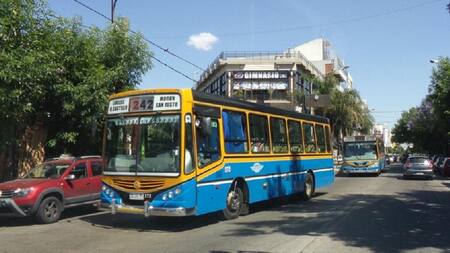 Colectivo línea 242, transporte público, tránsito